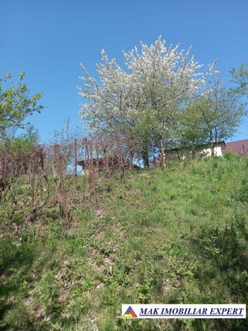 casa-2-camere-teren-1500-mp-de-vanzare-in-balilesti-arges-25