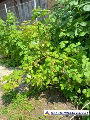 casa-2-camere-teren-1500-mp-de-vanzare-in-balilesti-arges-27