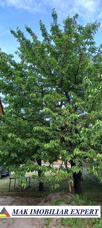 casa-2-camere-teren-1500-mp-de-vanzare-in-balilesti-arges-24