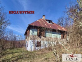 casa-de-vanzare-in-bistra-apuseni-0