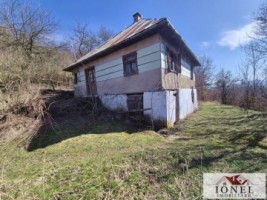casa-de-vanzare-in-bistra-apuseni-1
