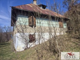 casa-de-vanzare-in-bistra-apuseni-8