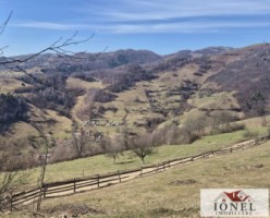 casa-de-vanzare-in-bistra-apuseni-10