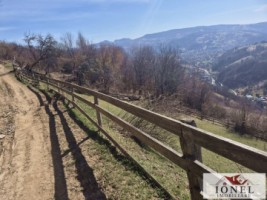 casa-de-vanzare-in-bistra-apuseni-9