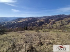 casa-de-vanzare-in-bistra-apuseni-11