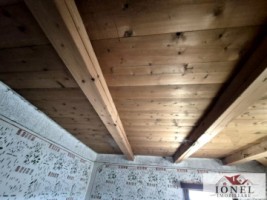 casa-de-vanzare-in-bistra-apuseni-7