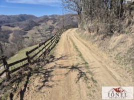 casa-de-vanzare-in-bistra-apuseni-14