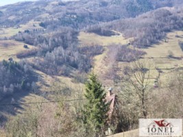 casa-de-vanzare-in-bistra-apuseni-13