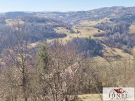 casa-de-vanzare-in-bistra-apuseni-12