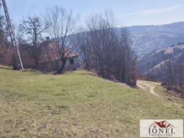 casa-de-vanzare-in-bistra-apuseni-15