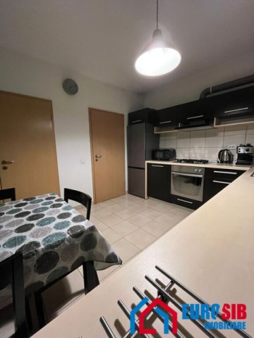 apartament-cu-2-camere-decomandat-situat-in-sibiu-turnisor-10