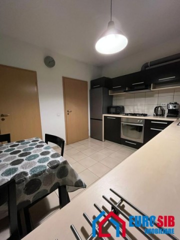 apartament-cu-2-camere-decomandat-situat-in-sibiu-turnisor-20