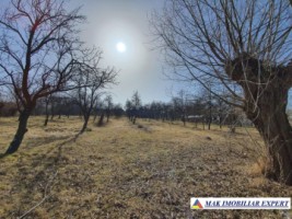 casa-vacanta-2-camere-teren-1295-mp-in-marcus-campulung-ag-55