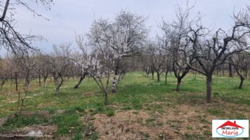 casa-in-viile-satu-mare-finisata-15