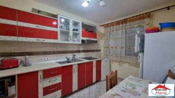 casa-in-micula-cu-teren-34-arii-4