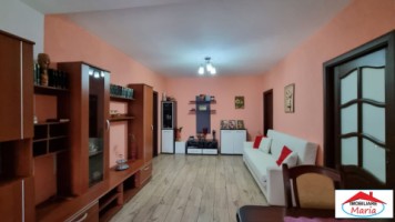 casa-in-micula-cu-teren-34-arii-7