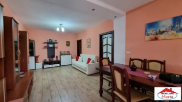 casa-in-micula-cu-teren-34-arii-8