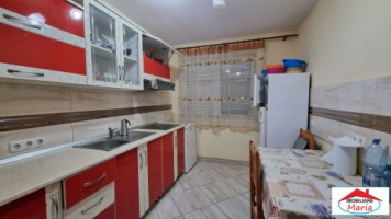 casa-in-micula-cu-teren-34-arii-12