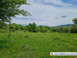 de-vanzare-teren-5000-mp-intravilan-in-stalpeni-arges-0