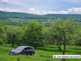 de-vanzare-teren-5000-mp-intravilan-in-stalpeni-arges-1