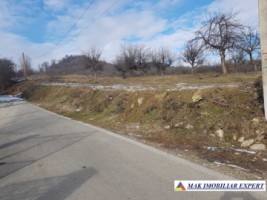 de-vanzare-teren-5000-mp-intravilan-in-stalpeni-arges-3