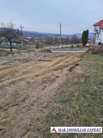 de-vanzare-teren-5000-mp-intravilan-in-stalpeni-arges-4