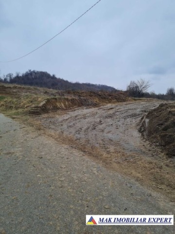 de-vanzare-teren-5000-mp-intravilan-in-stalpeni-arges-5