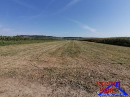 vand-teren-extravilan-intabulat-comuna-cristianpe-lunca-1