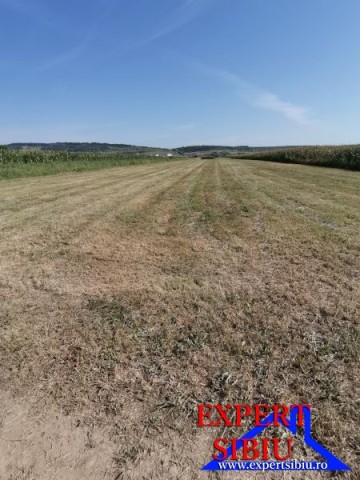 vand-teren-extravilan-intabulat-comuna-cristianpe-lunca-2