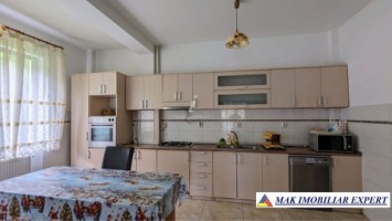 vand-pensiune-p2em1m2-teren-3900-mp-in-satic-rucar-arges-4