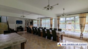 vand-pensiune-p2em1m2-teren-3900-mp-in-satic-rucar-arges-1