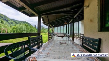 vand-pensiune-p2em1m2-teren-3900-mp-in-satic-rucar-arges-6