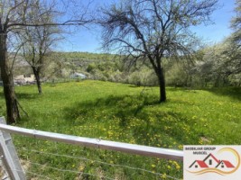 teren-intravilan-3265-mp-valea-mare-pravat-30000-euro