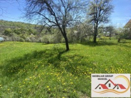 teren-intravilan-3265-mp-valea-mare-pravat-30000-euro-2