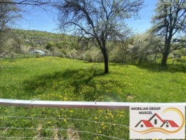 teren-intravilan-3265-mp-valea-mare-pravat-30000-euro-3