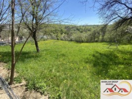 teren-intravilan-3265-mp-valea-mare-pravat-30000-euro-1