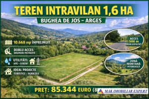 teren-16-ha-intravilan-in-bughea-de-jos-arges