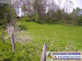 teren-intravilan-5300-mp-de-vanzare-in-albestii-de-muscel