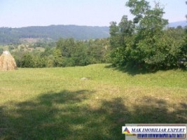 teren-intravilan-5300-mp-de-vanzare-in-albestii-de-muscel-1