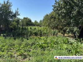 casa-2-camere-teren-intravilan-1248-mp-in-schitu-golesti-ag-7