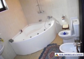 vila-10-camere-teren-71-ha-de-vanzare-in-corbi-arges-5