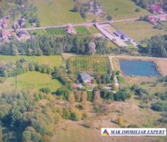 vila-10-camere-teren-71-ha-de-vanzare-in-corbi-arges-12