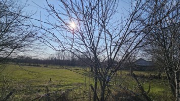 baicoi-tufeni-intravilan-6076-mp2-deschideri-55000-euro-3