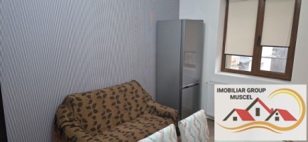 apartament-cu-3-camere-la-etaj-1-renovata-complet-la-pretul-de-250-de-euro-negociabil-campulung-3