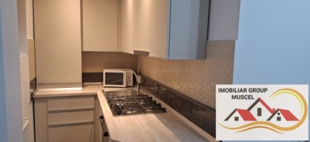 apartament-cu-3-camere-la-etaj-1-renovata-complet-la-pretul-de-250-de-euro-negociabil-campulung-5