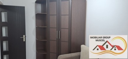 apartament-cu-3-camere-la-etaj-1-renovata-complet-la-pretul-de-250-de-euro-negociabil-campulung-8