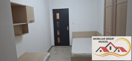 apartament-cu-3-camere-la-etaj-1-renovata-complet-la-pretul-de-250-de-euro-negociabil-campulung-13