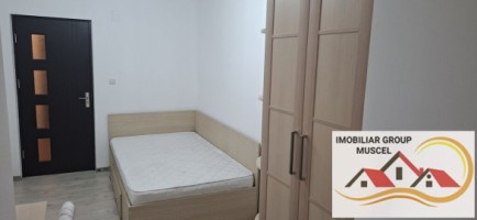 apartament-cu-3-camere-la-etaj-1-renovata-complet-la-pretul-de-250-de-euro-negociabil-campulung-14