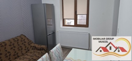 apartament-cu-3-camere-la-etaj-1-renovata-complet-la-pretul-de-250-de-euro-negociabil-campulung-17