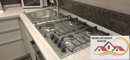 apartament-cu-3-camere-la-etaj-1-renovata-complet-la-pretul-de-250-de-euro-negociabil-campulung-18